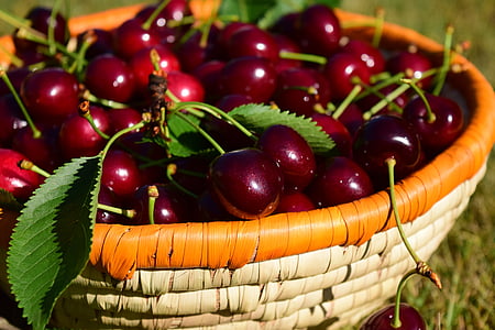 selective focus photography of basket full of cherries thumbnail