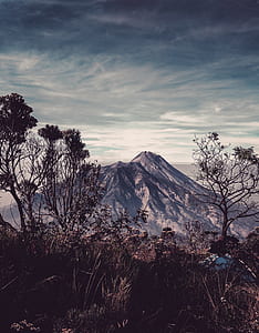 gray mountain under gray sky thumbnail