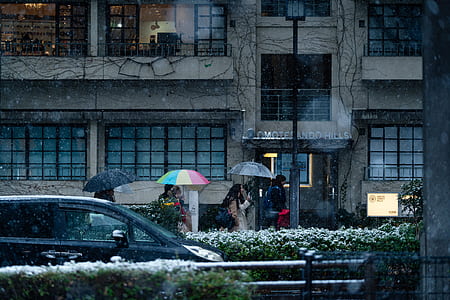 group of people using two umbrellas thumbnail