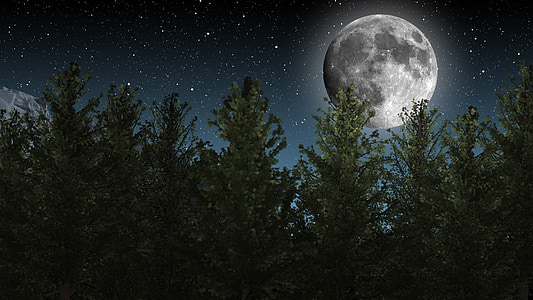 green trees with full moon thumbnail