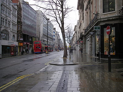 tree on road thumbnail