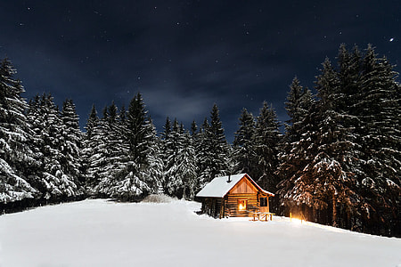 trees with brown house thumbnail