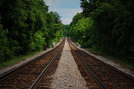 Brown Train Railway Between Green Trees at Daytime thumbnail