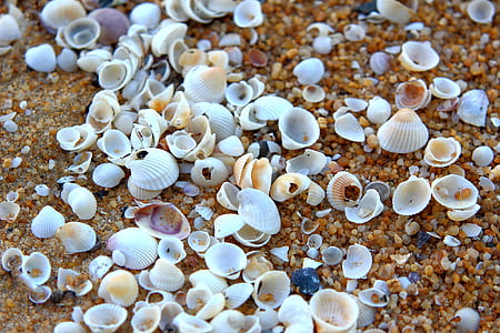 nature, sand, dry, pattern thumbnail