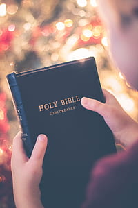 child holding Holy Bible book thumbnail