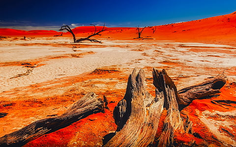landscape photography of desert thumbnail