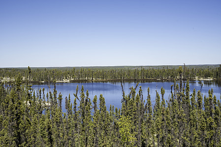 Pond in the forest overlook on the Ingraham Trail thumbnail