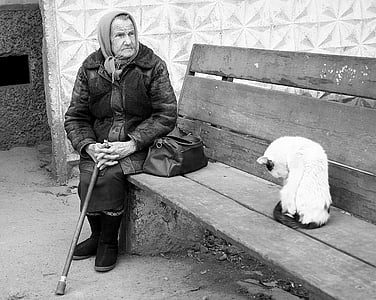 grayscale photo of man sitting on bench with cat thumbnail