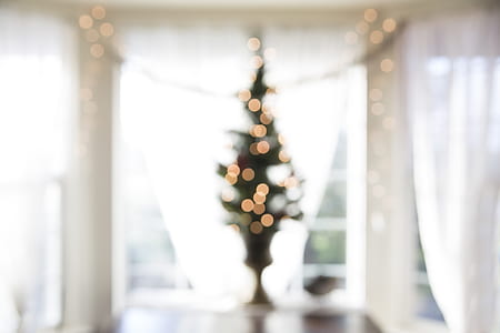 lighted Christmas tree in front of white curtain covered windows thumbnail