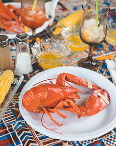 brown lobster on white plate thumbnail