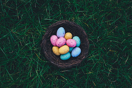 eggs in basket thumbnail