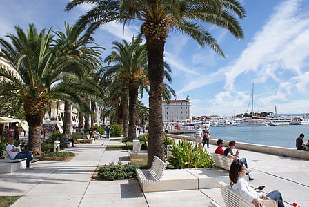 people sitting on white bench facing body of water thumbnail