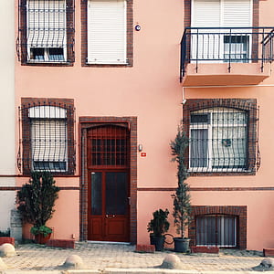 several potted green leaf plants beside pink painted house thumbnail