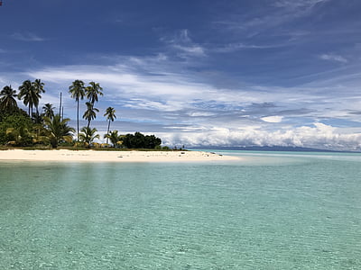 scenery of beach shore thumbnail