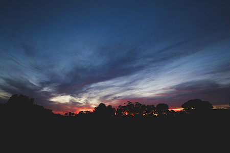 silhouette of trees under cloudy sky during sunset thumbnail