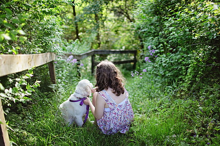 girl in pink and purple floral dress holding white great pyrenees puppy thumbnail