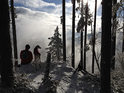 man sitting beside dog on the mountain thumbnail