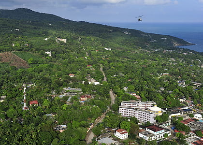 helicopter flew over trees thumbnail
