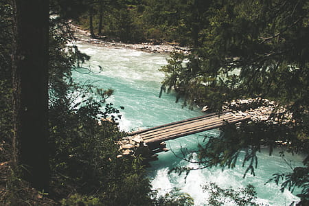 Bridge over the River Near Trees thumbnail