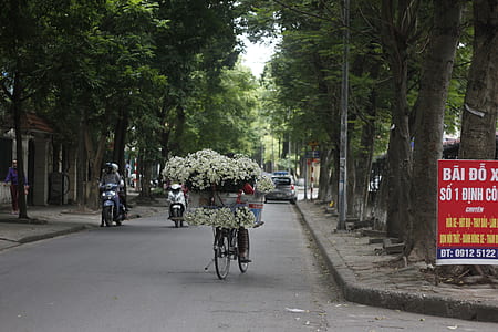 white flowers thumbnail