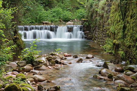 waterfalls surrounded trees thumbnail