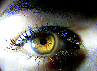 human brown eye thumbnail