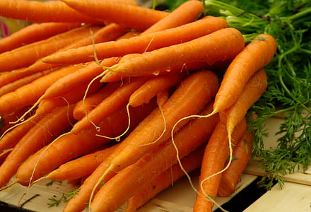 orange carrot lot thumbnail