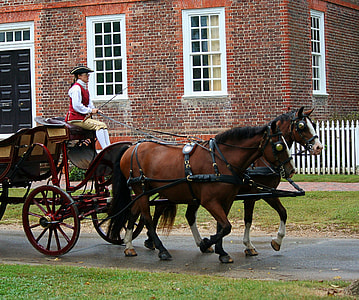 woman riding on horse carriage during daytime thumbnail