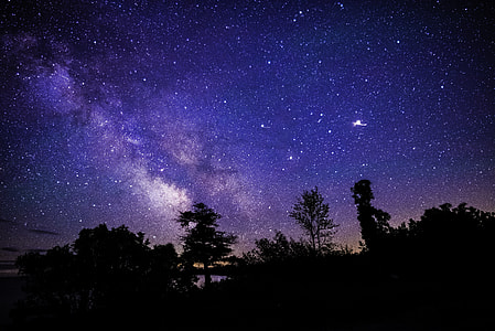 Milky Way above Trees and Sand Dunes thumbnail