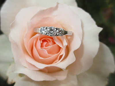 silver engagement ring on pink rose thumbnail