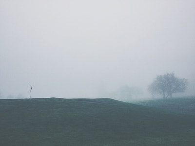 landscape photo of foggy grass field thumbnail