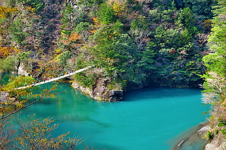 bird's eye view photography of river with bridge thumbnail