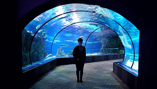 man standing in ocean museum thumbnail