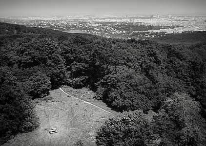 Grayscale Photo of Mountain With Trees thumbnail