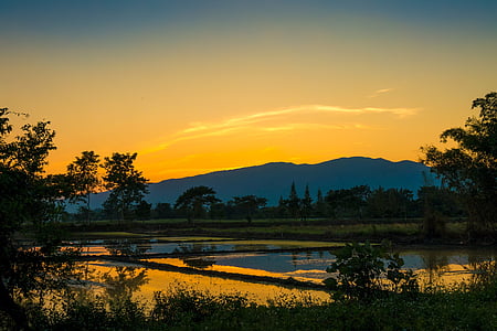 photograph of body of water near trees during golden hour thumbnail