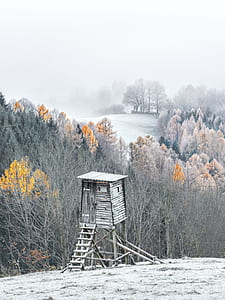 brown wooden ladder house on top of the mountain during daytime thumbnail