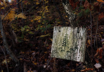 square white and brown board near the tree thumbnail