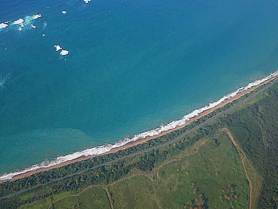 aerial photography of tree covered land near sea thumbnail