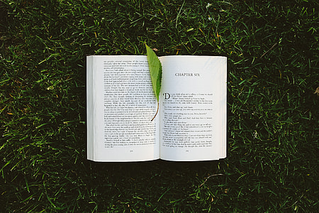 Book on the grass thumbnail