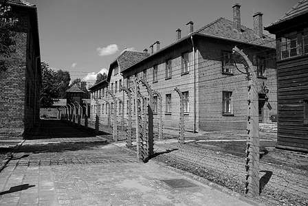 grayscale photo of barbwire thumbnail
