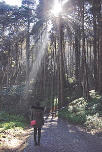 woman standing under green leaf tree during daytime thumbnail