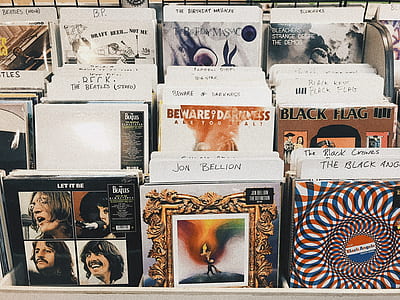 vinyl record sleeved displayed on rack thumbnail