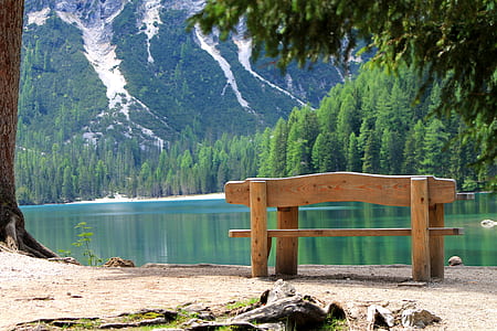 brown wooden bench surrounded by body of water thumbnail