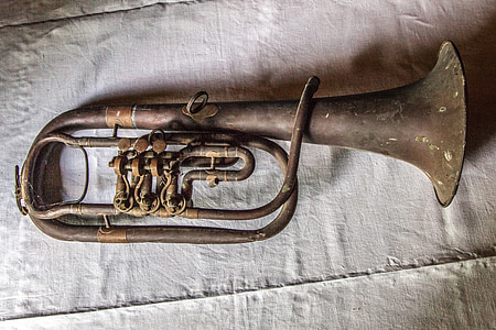 brown wind instrument on gray textile thumbnail