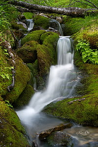 stream waterfalls thumbnail