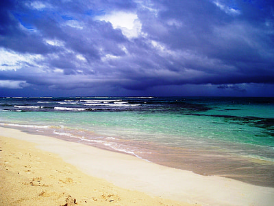 brown seashore during daytime thumbnail