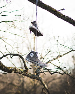 pair of gray Converse All Star high-top sneakers thumbnail
