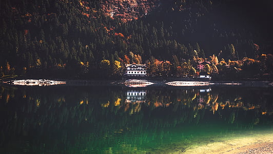 body of water surrounded by trees thumbnail