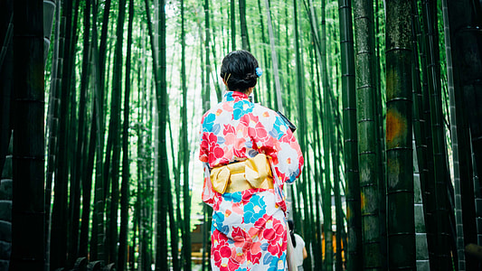 back view of a woman in pink, red, white and blue floral japanese suit surrounded by bamboos photo thumbnail