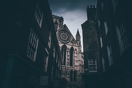 photography of city alley with buildings thumbnail